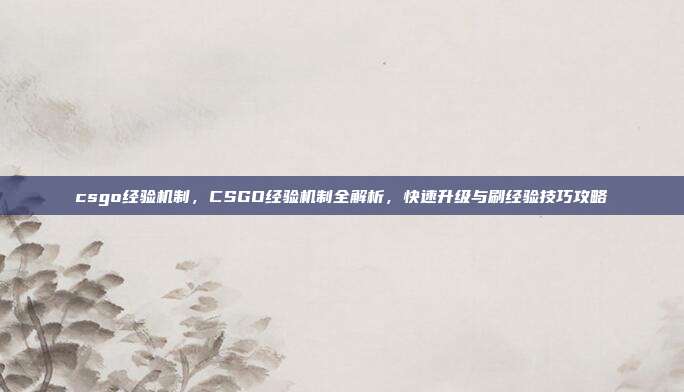csgo经验机制,CSGO经验机制全解析,快速升级与刷经验技巧攻略