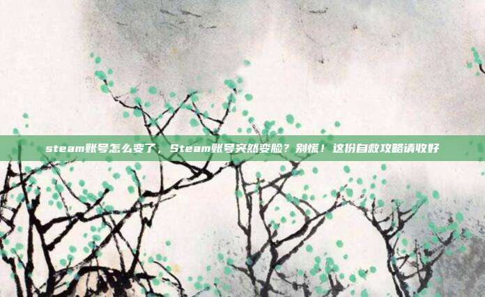 steam账号怎么变了，Steam账号突然变脸？别慌！这份自救攻略请收好