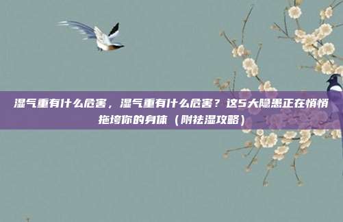 湿气重有什么危害,湿气重有什么危害?这5大隐患正在悄悄拖垮你的身体(附祛湿攻略)
