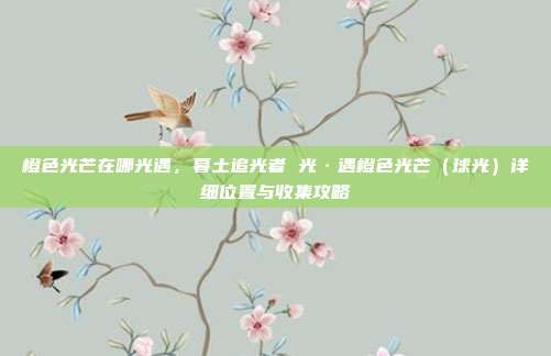 橙色光芒在哪光遇，暮土追光者 光·遇橙色光芒（球光）详细位置与收集攻略