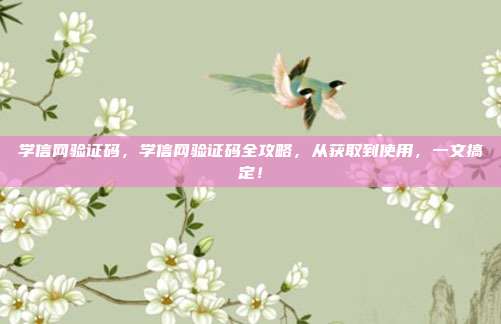 学信网验证码,学信网验证码全攻略,从获取到使用,一文搞定!