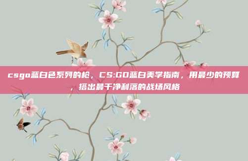 csgo蓝白色系列的枪，CS:GO蓝白美学指南，用最少的预算，搭出最干净利落的战场风格