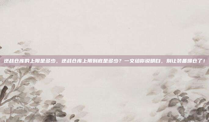 逆战仓库的上限是多少,逆战仓库上限到底是多少?一文给你说明白,别让装备爆仓了!