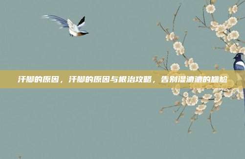 汗脚的原因,汗脚的原因与根治攻略,告别湿漉漉的尴尬
