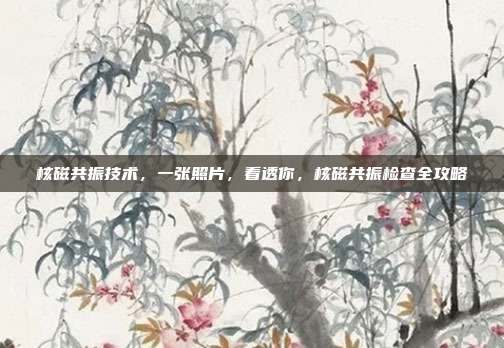 核磁共振技术,一张照片,看透你,核磁共振检查全攻略