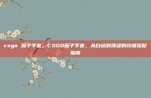 csgo 茄子手套,CSGO茄子手套,从白给到顶级的终极搭配指南