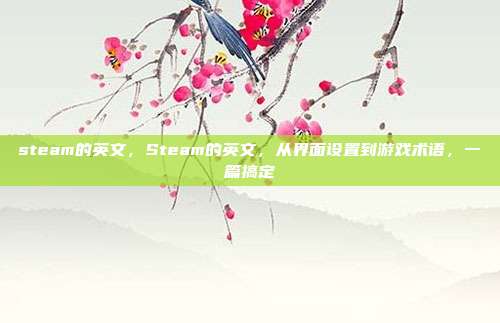 steam的英文，Steam的英文，从界面设置到游戏术语，一篇搞定