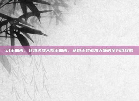 cf王照南，穿越火线大神王照南，从枪王到战术大师的全方位攻略
