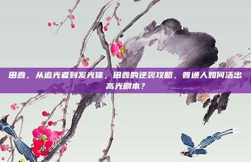 田鑫，从追光者到发光体，田鑫的逆袭攻略，普通人如何活出高光剧本？