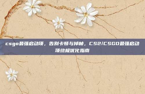 csgo最强启动项,告别卡顿与掉帧,CS2/CSGO最强启动项终极优化指南