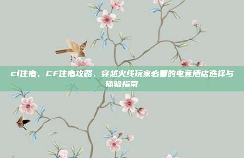cf住宿，CF住宿攻略，穿越火线玩家必看的电竞酒店选择与体验指南