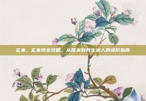 玄米，玄米完全攻略，从糙米到养生达人的进阶指南