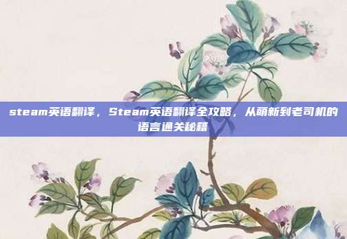 steam英语翻译，Steam英语翻译全攻略，从萌新到老司机的语言通关秘籍