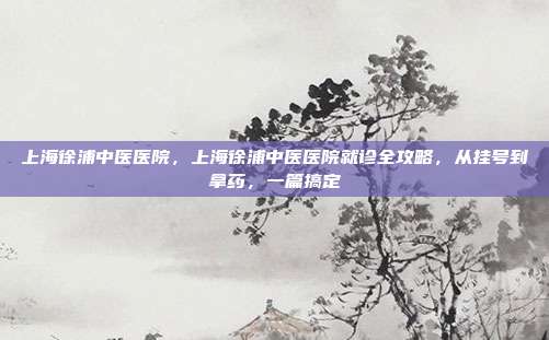 上海徐浦中医医院，上海徐浦中医医院就诊全攻略，从挂号到拿药，一篇搞定