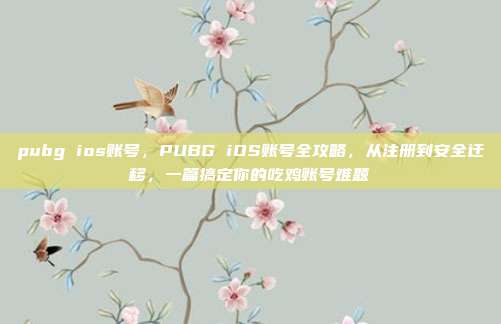pubg ios账号,PUBG iOS账号全攻略,从注册到安全迁移,一篇搞定你的吃鸡账号难题