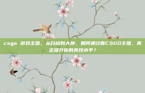 csgo 游戏主播，从白给到大神，如何通过看CSGO主播，真正提升你的竞技水平？