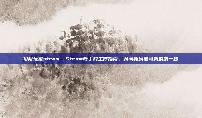 初阶玩家steam，Steam新手村生存指南，从萌新到老司机的第一步