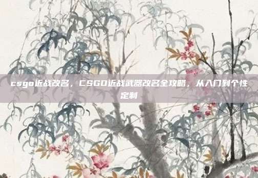 csgo近战改名，CSGO近战武器改名全攻略，从入门到个性定制
