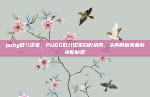 pubg低分国家,PUBG低分国家自救指南,从青铜到黄金的进阶秘籍