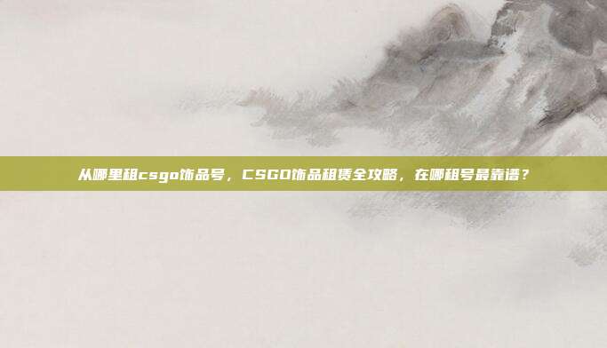 从哪里租csgo饰品号,CSGO饰品租赁全攻略,在哪租号最靠谱?