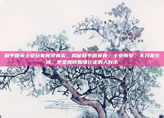 和平精英土豪玩家帐号真实，揭秘和平精英真·土豪帐号，不只是充钱，更是如何看懂行走的人民币