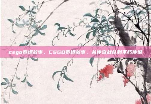 csgo泰坦故事,CSGO泰坦故事,从传奇战队到不朽传说