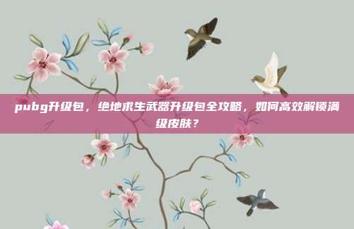 pubg升级包,绝地求生武器升级包全攻略,如何高效解锁满级皮肤?