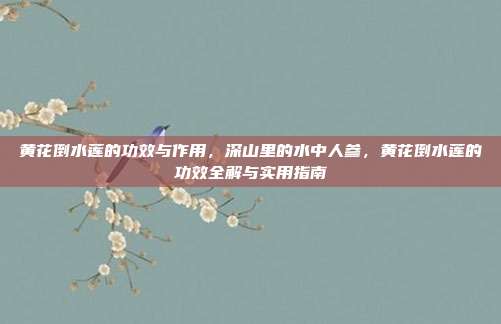 黄花倒水莲的功效与作用,深山里的水中人参,黄花倒水莲的功效全解与实用指南