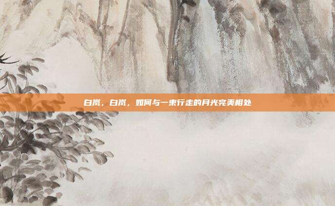 白岚，白岚，如何与一束行走的月光完美相处