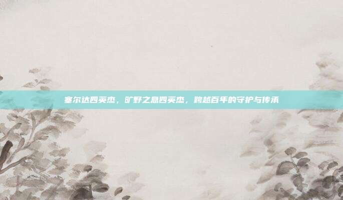 塞尔达四英杰,旷野之息四英杰,跨越百年的守护与传承