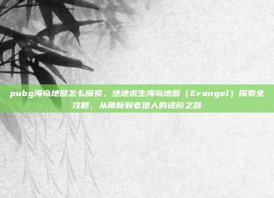 pubg海岛地图怎么探索,绝地求生海岛地图(Erangel)探索全攻略,从萌新到老猎人的进阶之路