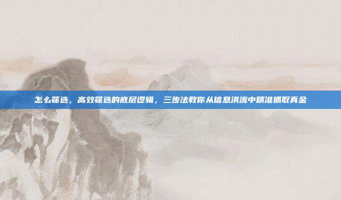 怎么筛选,高效筛选的底层逻辑,三步法教你从信息洪流中精准抓取真金