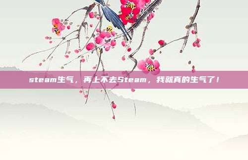 steam生气，再上不去Steam，我就真的生气了！