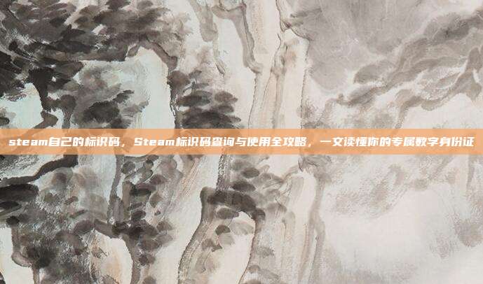 steam自己的标识码，Steam标识码查询与使用全攻略，一文读懂你的专属数字身份证