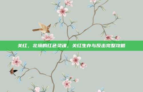 关红，北境的红色灵魂，关红生存与反击完整攻略