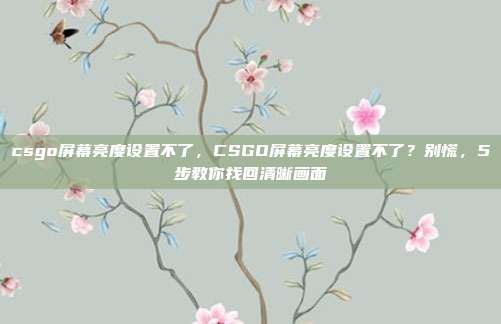csgo屏幕亮度设置不了，CSGO屏幕亮度设置不了？别慌，5步教你找回清晰画面
