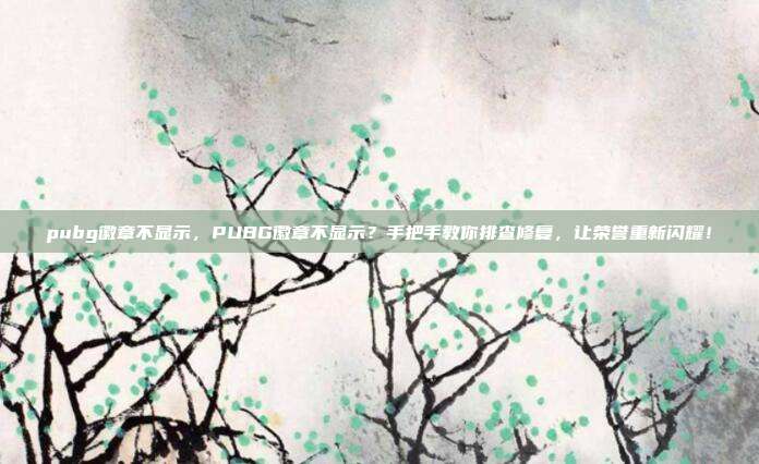 pubg徽章不显示，PUBG徽章不显示？手把手教你排查修复，让荣誉重新闪耀！