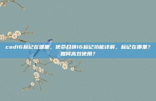 cod16标记在哪里，使命召唤16标记功能详解，标记在哪里？如何高效使用？