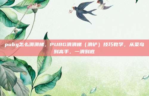 pubg怎么滑滑梯，PUBG滑滑梯（滑铲）技巧教学，从菜鸟到高手，一滑到底