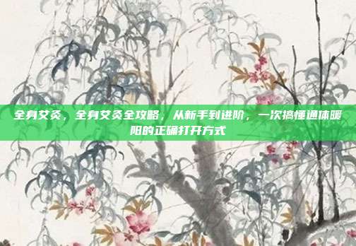 全身艾灸,全身艾灸全攻略,从新手到进阶,一次搞懂通体暖阳的正确打开方式