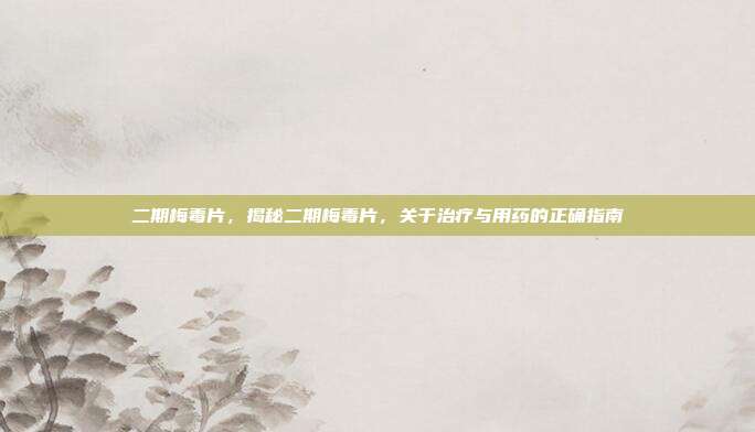二期梅毒片,揭秘二期梅毒片,关于治疗与用药的正确指南
