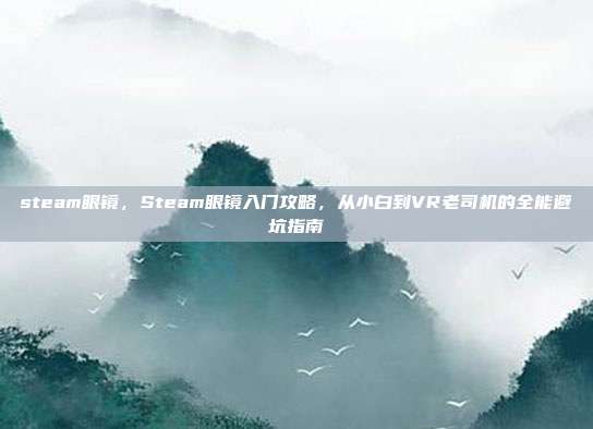 steam眼镜,Steam眼镜入门攻略,从小白到VR老司机的全能避坑指南