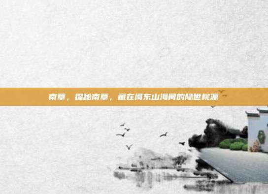 南草,探秘南草,藏在闽东山海间的隐世桃源