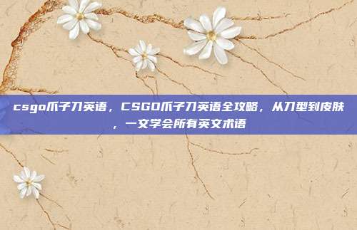 csgo爪子刀英语,CSGO爪子刀英语全攻略,从刀型到皮肤,一文学会所有英文术语