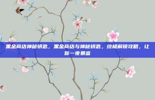 黑金商店神秘钥匙，黑金商店与神秘钥匙，终极解锁攻略，让你一夜暴富