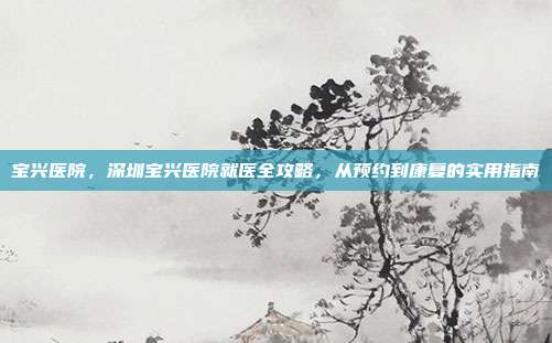 宝兴医院,深圳宝兴医院就医全攻略,从预约到康复的实用指南