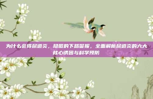 为什么会得尿道炎，隐匿的下路警报，全面解析尿道炎的六大核心诱因与科学预防