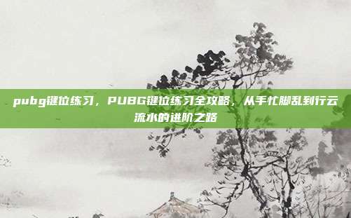 pubg键位练习,PUBG键位练习全攻略,从手忙脚乱到行云流水的进阶之路