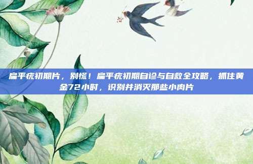 扁平疣初期片,别慌!扁平疣初期自诊与自救全攻略,抓住黄金72小时,识别并消灭那些小肉片