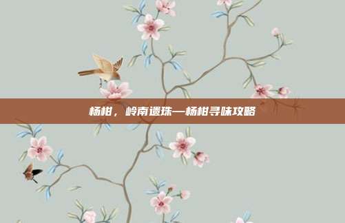 杨柑,岭南遗珠—杨柑寻味攻略